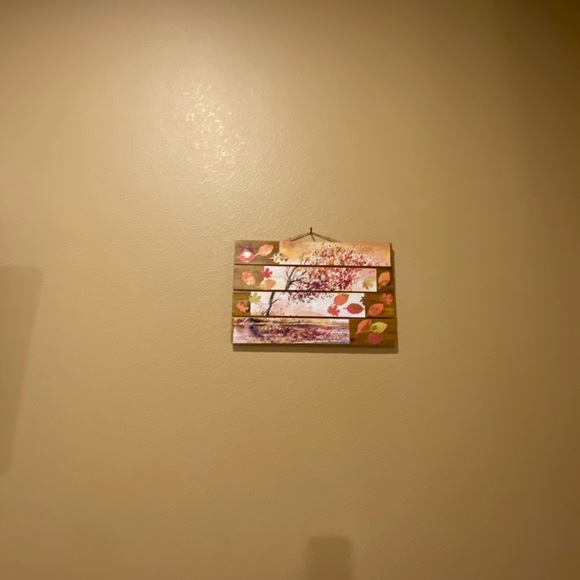 Falling Leaves 🍁 - Picture 11 of 12